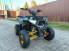 Mikilon Rapide Explorer 125, 2026 г.