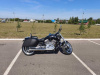 Harley-Davidson V-Rod VRSCF, 2012 г.