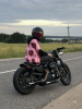 Harley-Davidson Sportster, 2012 г.