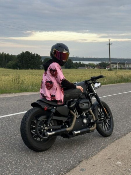 Harley-Davidson Sportster, 2012 г.