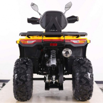 Motoland Wild Track 250 X PLUS, 2026 г.
