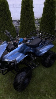 KXD Warrior, 2015 г.