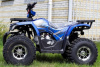 MMG Hunter II 125CC (SCRAMBLER), 2022 г.
