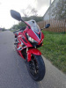 Honda CBR, 2020 г.
