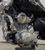 Motoland Wolf 300, 2025 г.