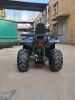 Утилитарный Motoland Wild Track LUX, 2026 г.