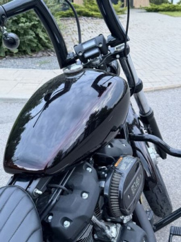Harley-Davidson Softail street bob FXBBS, 2021 г.