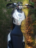 Aprilia Shiver, 2008 г.