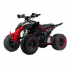 Motoland Dakar Rally 250CC, 2023 г.