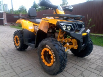 Motoland Wild Track 200 NEW, 2026 г.