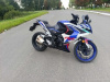 Racer Storm RC250, 2024 г.