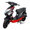 Regulmoto Eagle 50 (LJ50QT-3L), 2023 г.