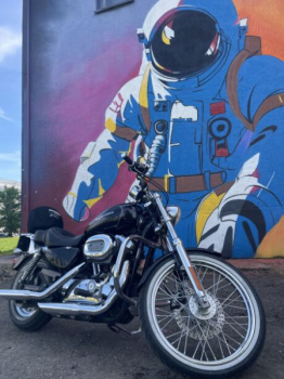 Harley-Davidson Sportster XL1200C Custom (injector), 2006 г.