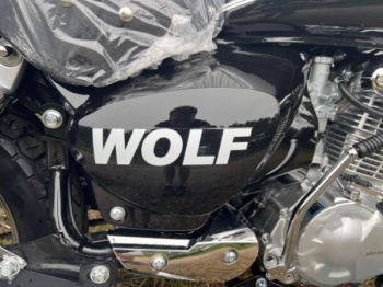 Motoland Wolf 300, 2026 г.