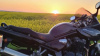 Suzuki Bandit GSF 1200S, 2004 г.