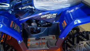 Motax ATV Grizlik D125, 2025 г.