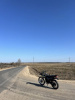 Roliz 005, 2019 г.