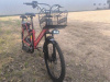 Tsunami Dacha 500W, 2025 г.