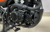 Racer Panther RC300-GY8X, 2024 г.
