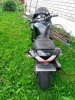 Kawasaki ZZR, 2007 г.