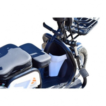 BMW GG Электротрицикл Terax APKI (SVITYAZ NS003, 2025 г.