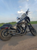 Harley-Davidson Sportster, 2021 г.