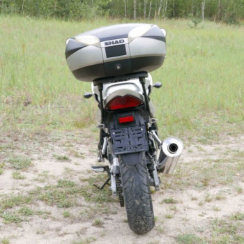 Suzuki Bandit, 2005 г.