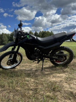 Racer Panther, 2020 г.