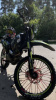 Regulmoto Sport 003 pr pro 300, 2024 г.