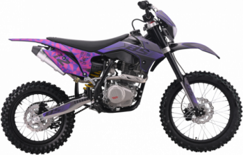 BSE Z2 L 19/16 Split Purple, 2026 г.