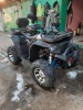 RAM ATV FX250, 2025 г.