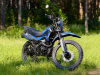 Racer Panther Pro, 2026 г.