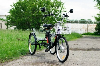  AVM E-ALFA TRIKE 24, 2026 г.