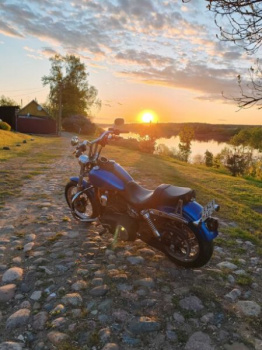 Harley-Davidson Dyna street Bob fxdbil, 2006 г.