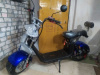 Citycoco X11 GT Х11 3000, 2024 г.