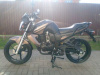 Motoland Bandit 300, 2026 г.