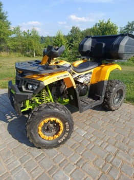 Motoland 200 Wild Track, 2024 г.