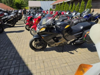 Honda CBR, 1999 г.