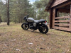Triumph Bonneville Newchurch, 2015 г.