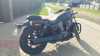 Harley-Davidson Nightster RH975, 2024 г.