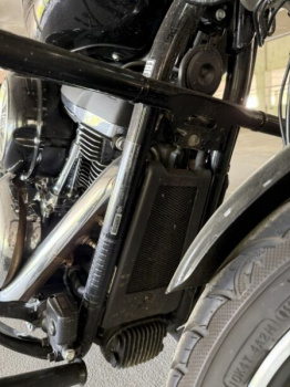 Harley-Davidson Sport Glide Softail FLSB, 2018 г.