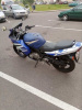 Suzuki GS 500F, 2005 г.