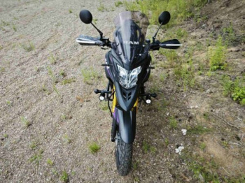 RAM TE PR PRO, 2025 г.