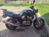 Suzuki GSF, 1995 г.