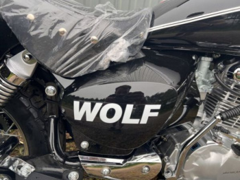 Motoland Wolf 300, 2026 г.