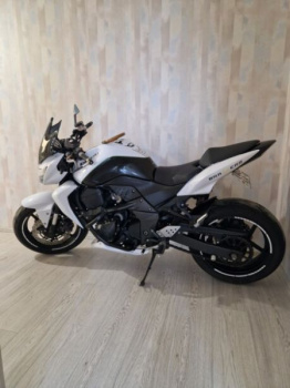 Kawasaki Z, 2008 г.