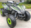 Racer RC RC125 Raptor, 2024 г.