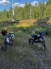 Wels RT, 2021 г.