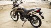 Racer Ranger RC250-GY8A, 2024 г.