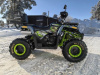 Motoland Wild Track 200 LUX, 2026 г.